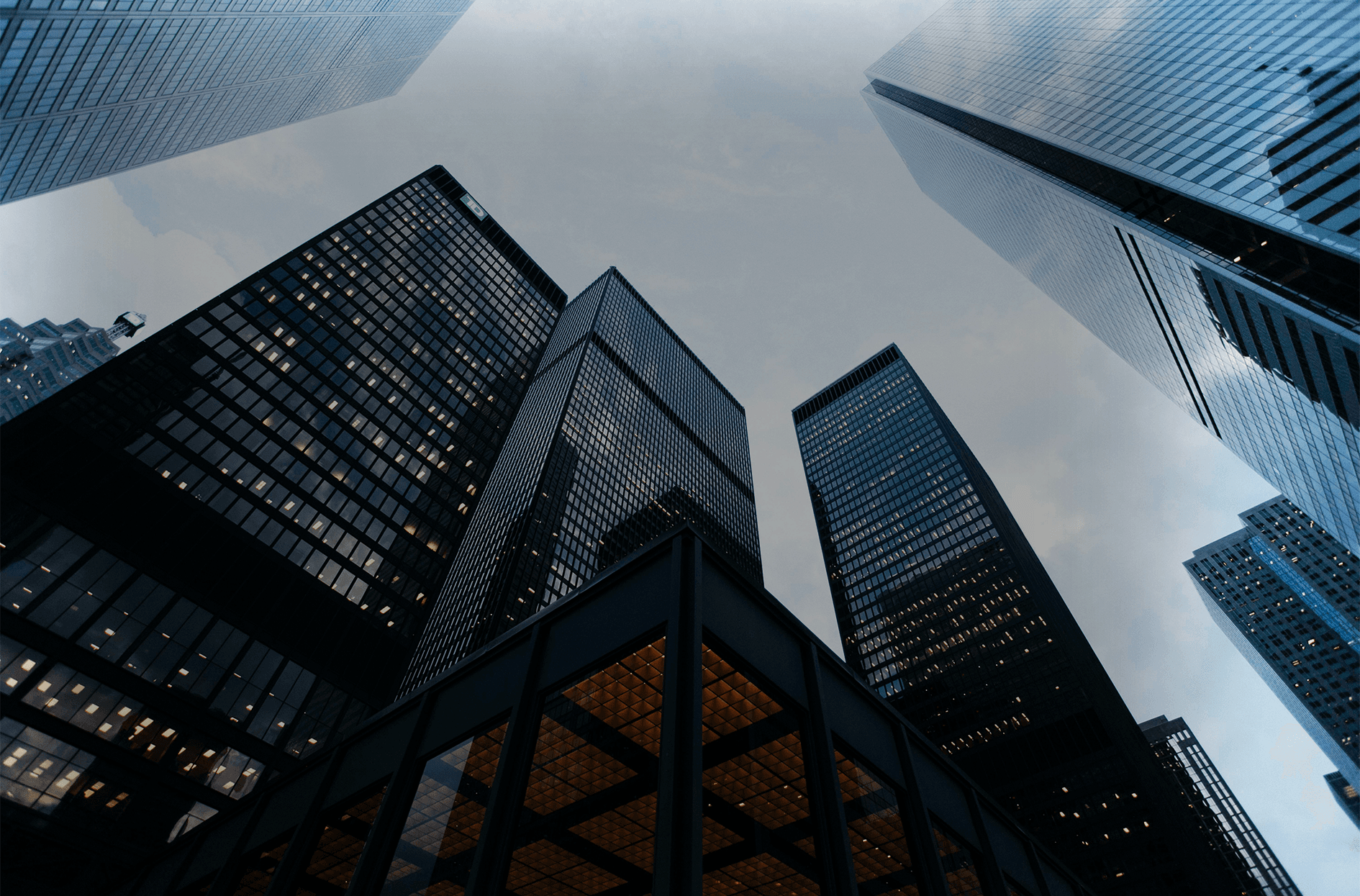 One Firm, Two Disciplines